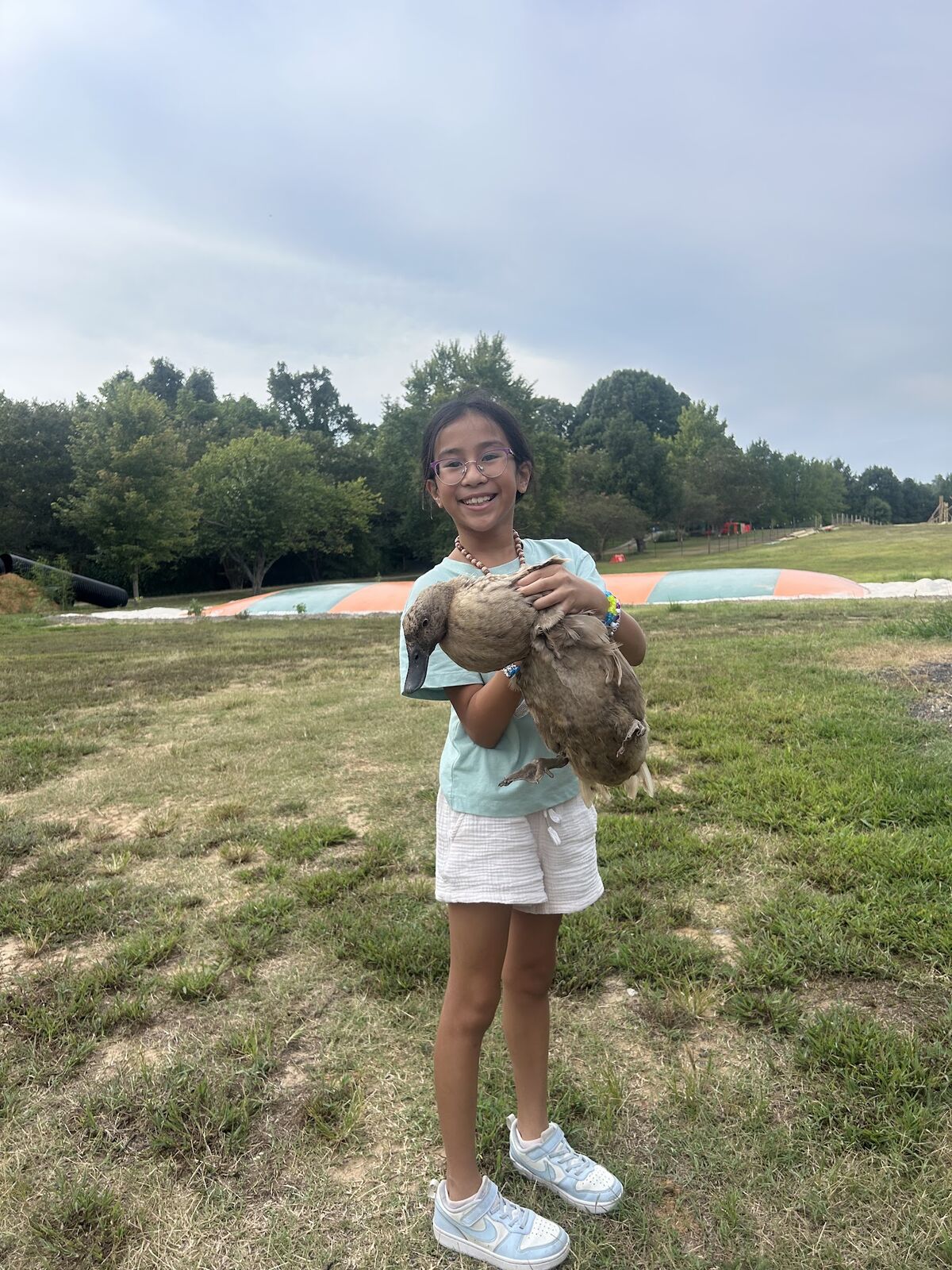 A girl holding a chicken in a grassy field