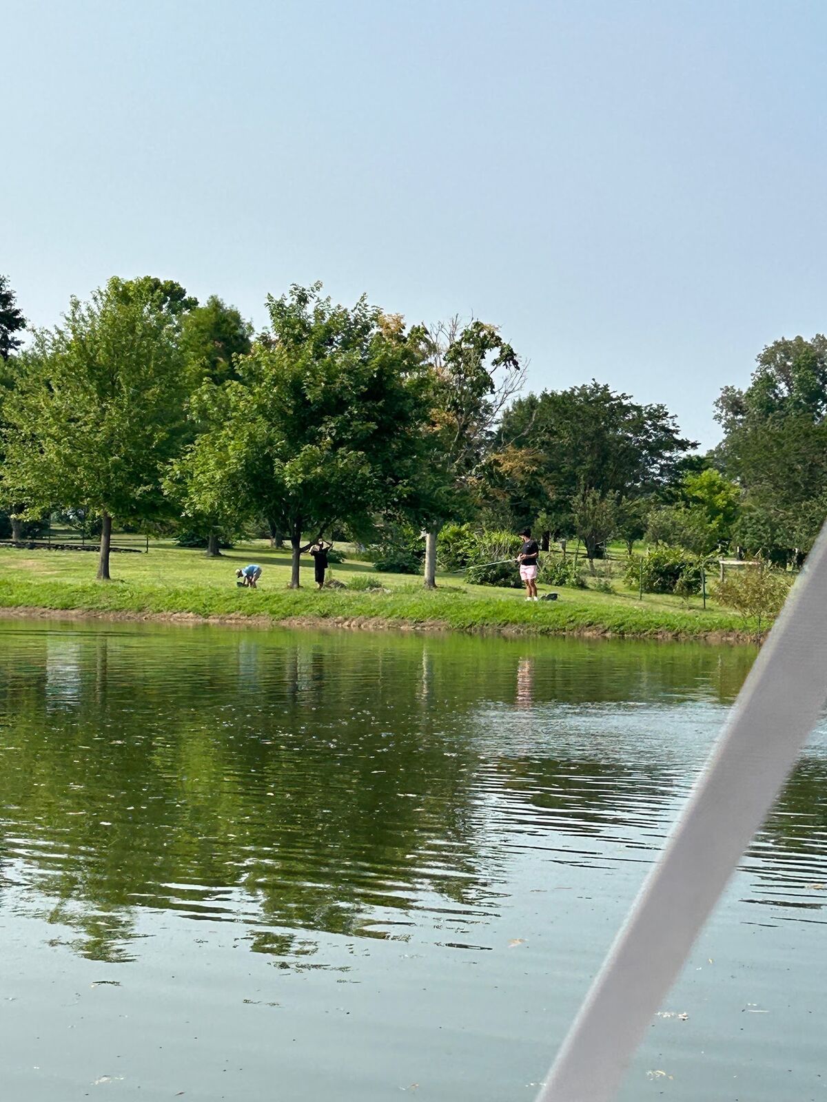 A pond with trees on the far bank