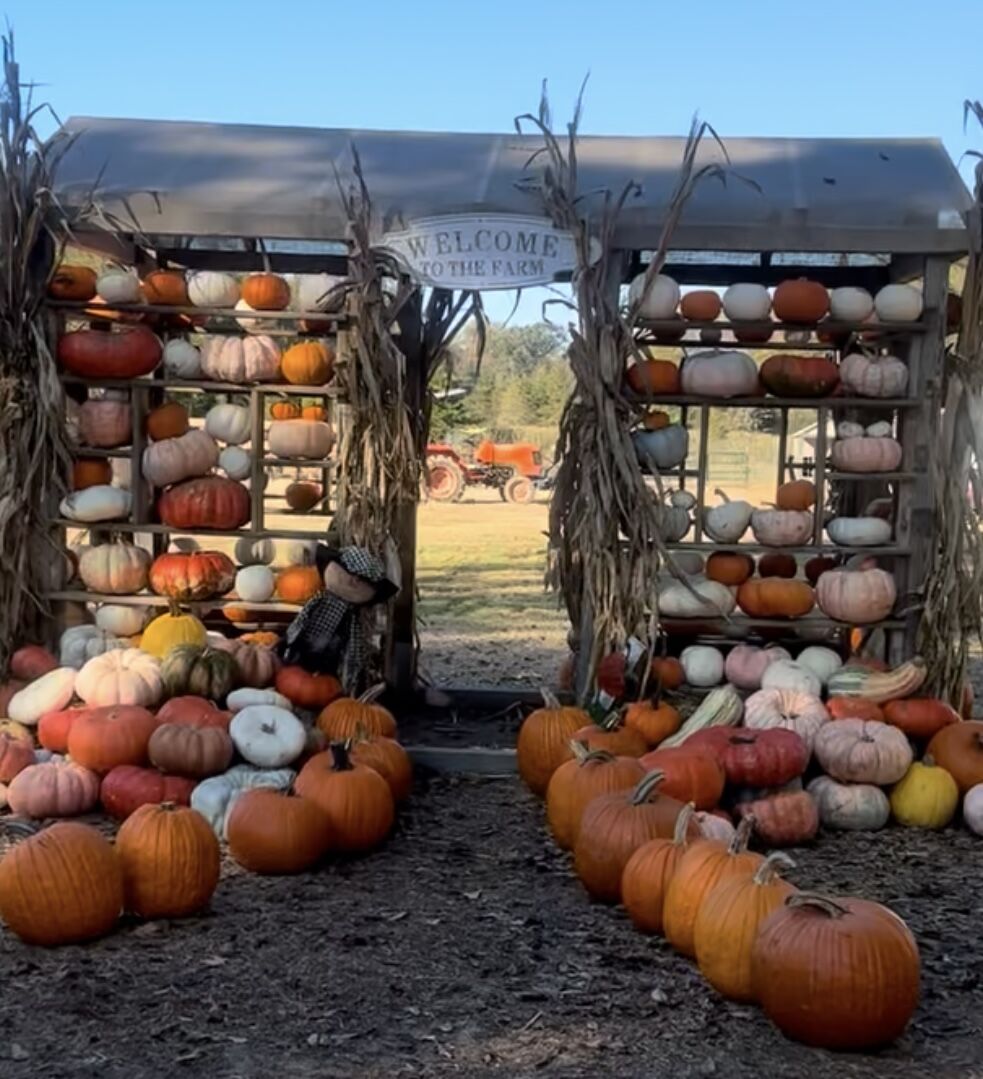 A walk-through arch lined with shelves of pumpkins and gourds