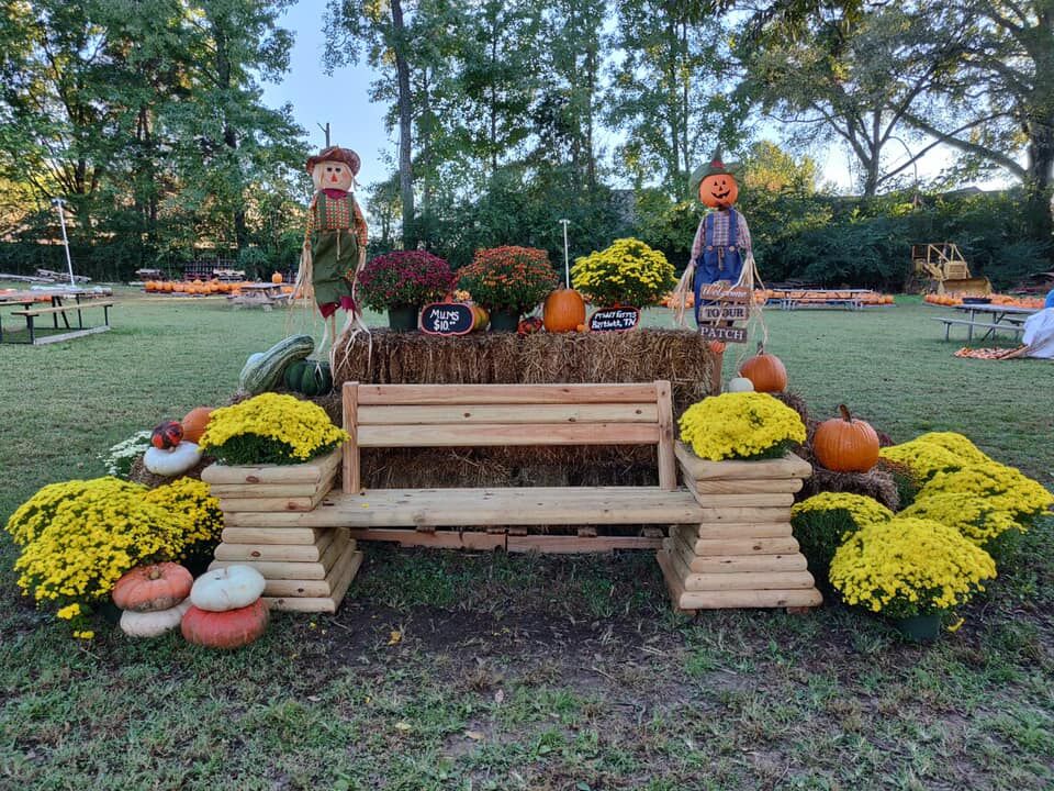 A wooden bench photo spot decorated with mums, pumpkins and scarecrows