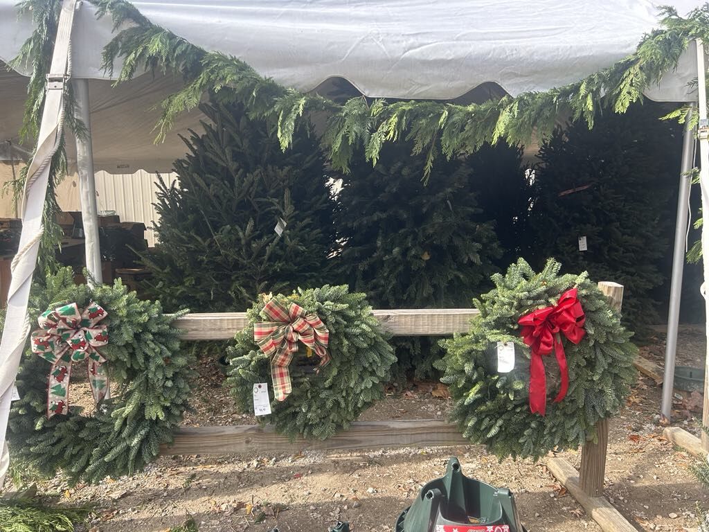 Decorated wreaths and fresh garland for sale under a tent
