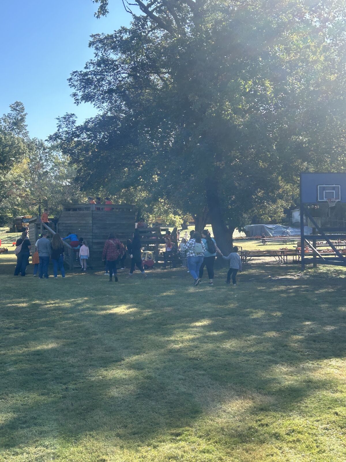 Visitors in a shaded play area