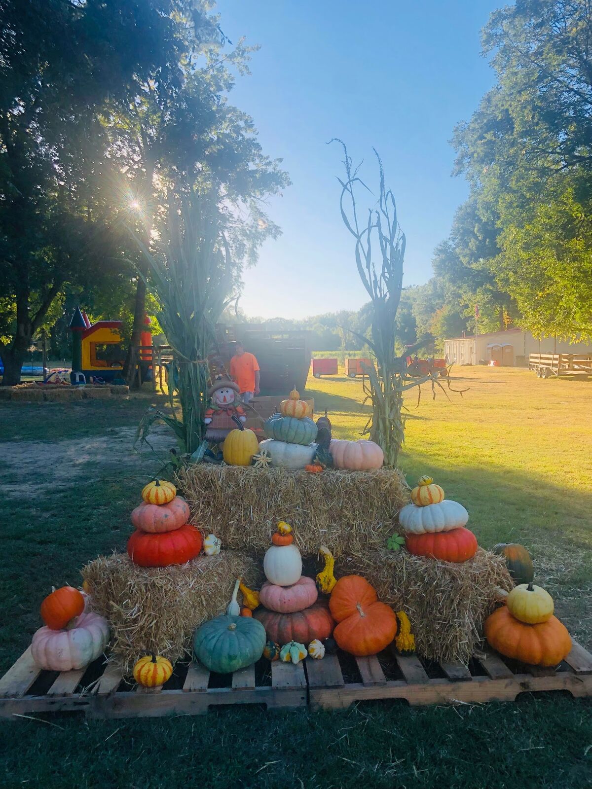 A hay bale display with pumpkins in low sunlight