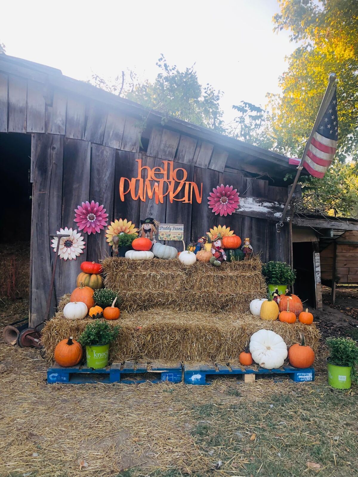 A weathered barn with a hello pumpkin sign and a flower display