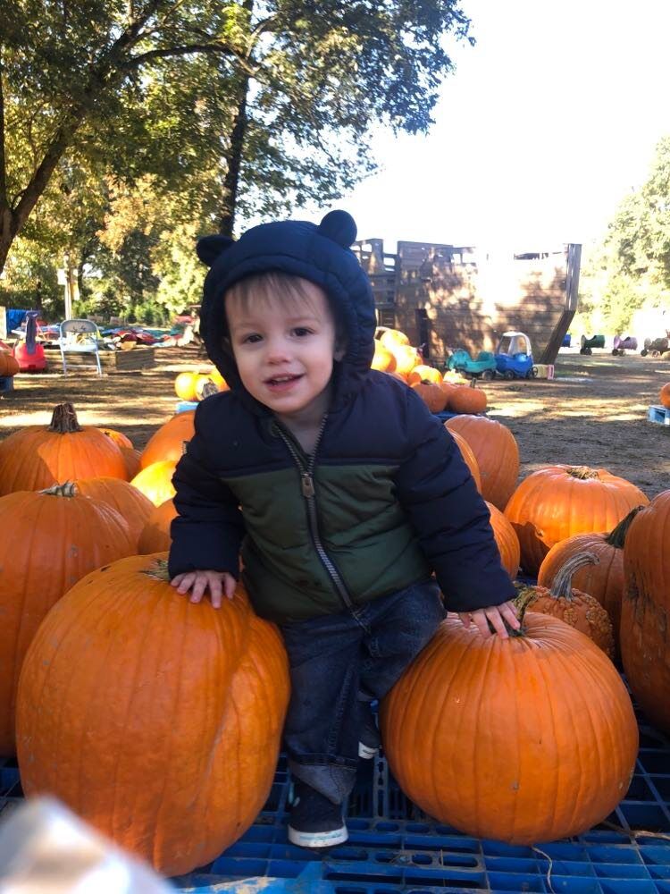 A toddler sitting on large pumpkins