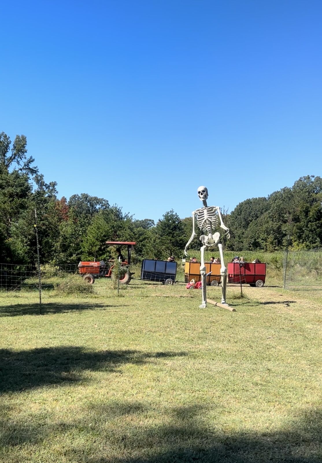 A giant skeleton figure in a field with farm wagons
