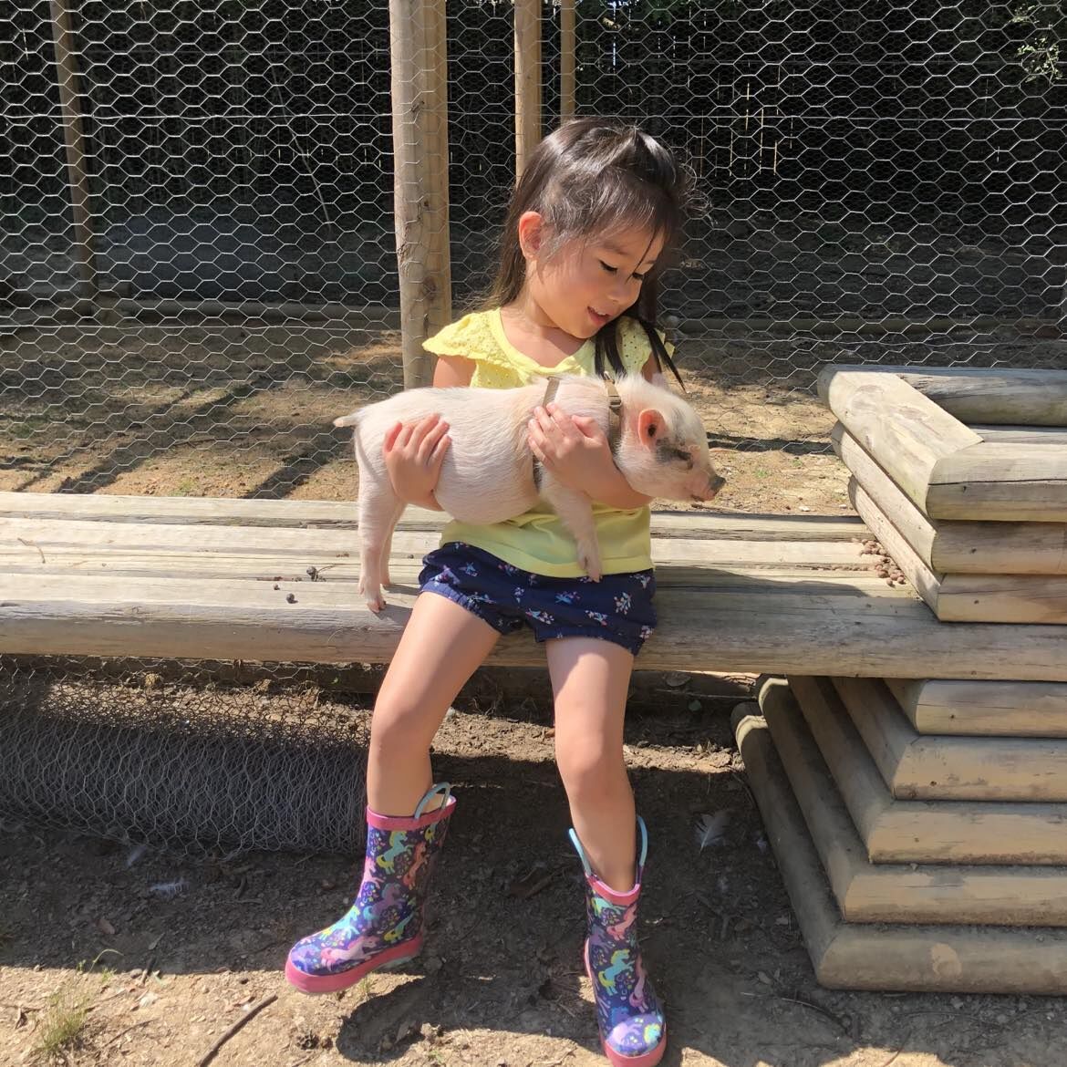 A girl holding a piglet