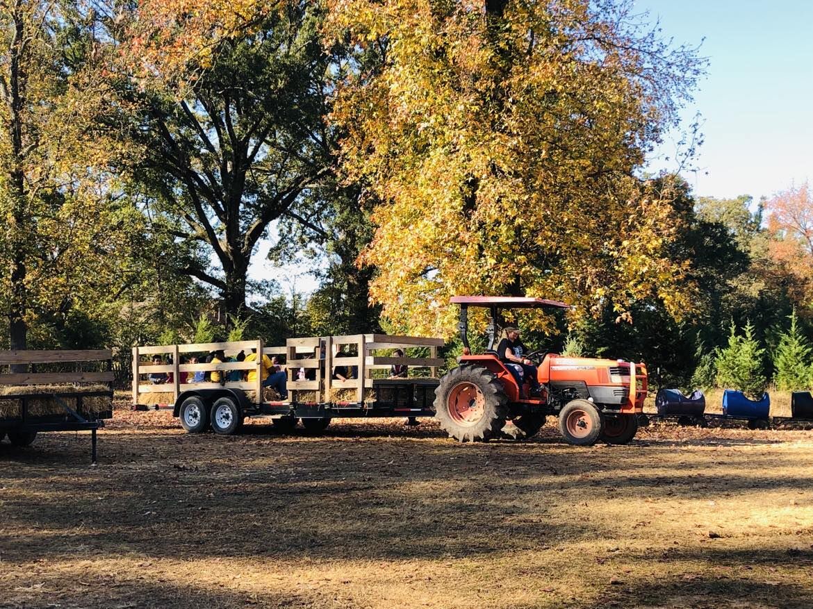 A tractor with a hayride wagon under autumn trees
